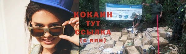 PSILOCYBIN Абаза
