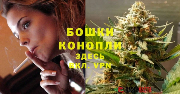 PSILOCYBIN Абаза