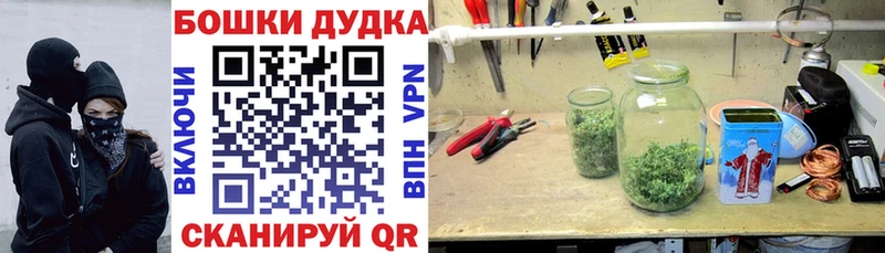 Бошки Шишки планчик  Иноземцево 